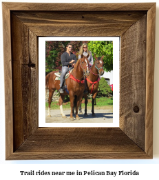 trail rides near me in Pelican Bay, Florida